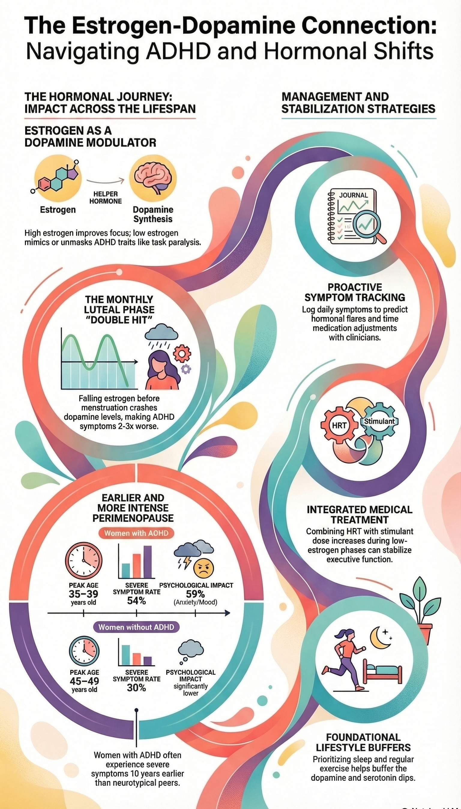 The estrogen dopamine ADHD connection infographic